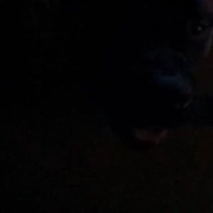 Meet your Posher, Kristyn